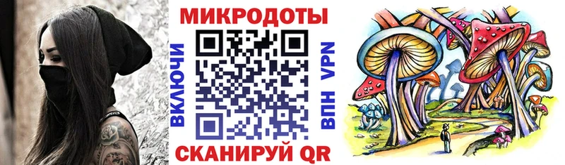 купить закладку  omg ТОР  Псилоцибиновые грибы Cubensis  Ульяновск 