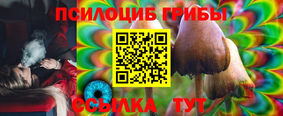 Ульяновск  Галлюциногенные грибы Cubensis  Галлюциногенные грибы Magic Shrooms  Вход с VPN 